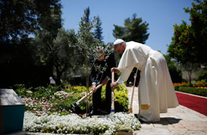 Pope Francis and Israel's then-President Shimon Peres plant an olive tree to symbolize peace at the president's residence, May 26, 2014. planting olive tree_jerusalem