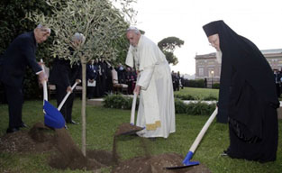 Pope Francis plants an olive tree with Shimon Peres, left, Palestinian President Mahmoud Abbas, second from left, and Ecumenical Patriarch Bartholomew I, right, as a sign of peace, following syncretic peace prayers in the Vatican gardens, June 8, 2014. olive tree planting_vat